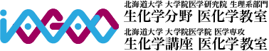 北海道大学 大学院医学研究院 生理系部門 生化学分野 医化学教室 | 北海道大学 大学院医学院 医学専攻 生化学講座 医化学教室